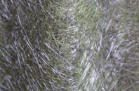 Fontwell fibreglass roof work